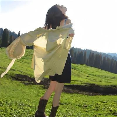 小查与寇弟的顶级冒险